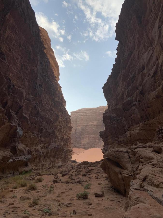 Sara Luxury Camp Hotel Wadi Rum Bagian luar foto